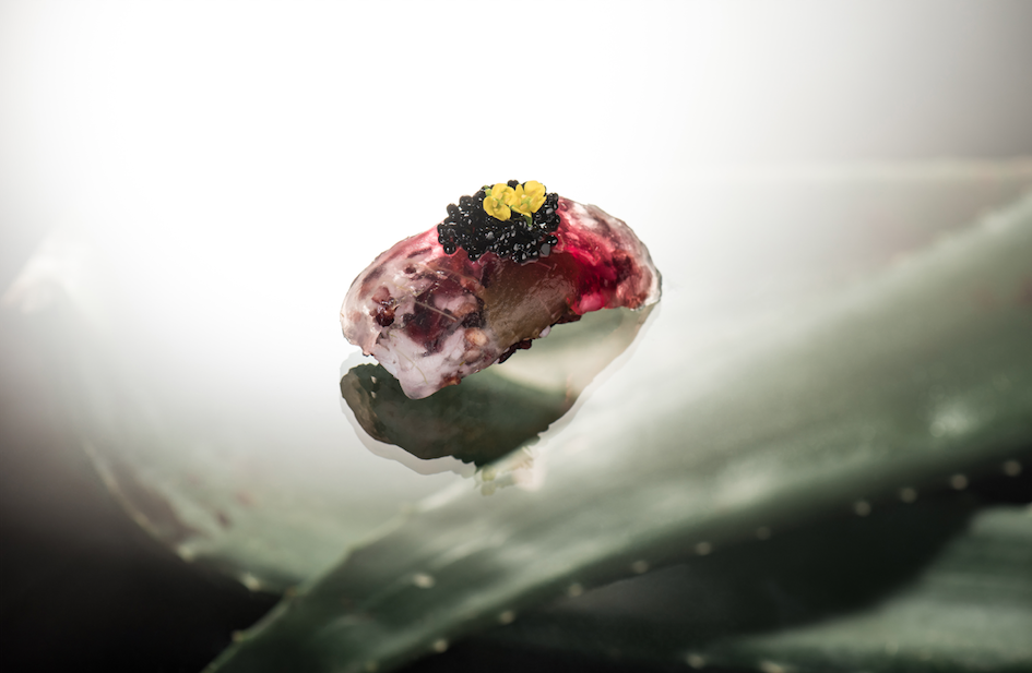 Aloe Nigiri | Enfin by James Won | Food For Thought