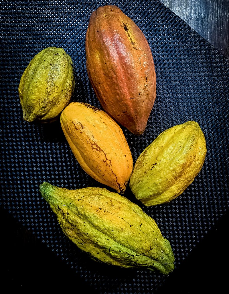 Cacao | Long Bar at ATAS | Food For Thought