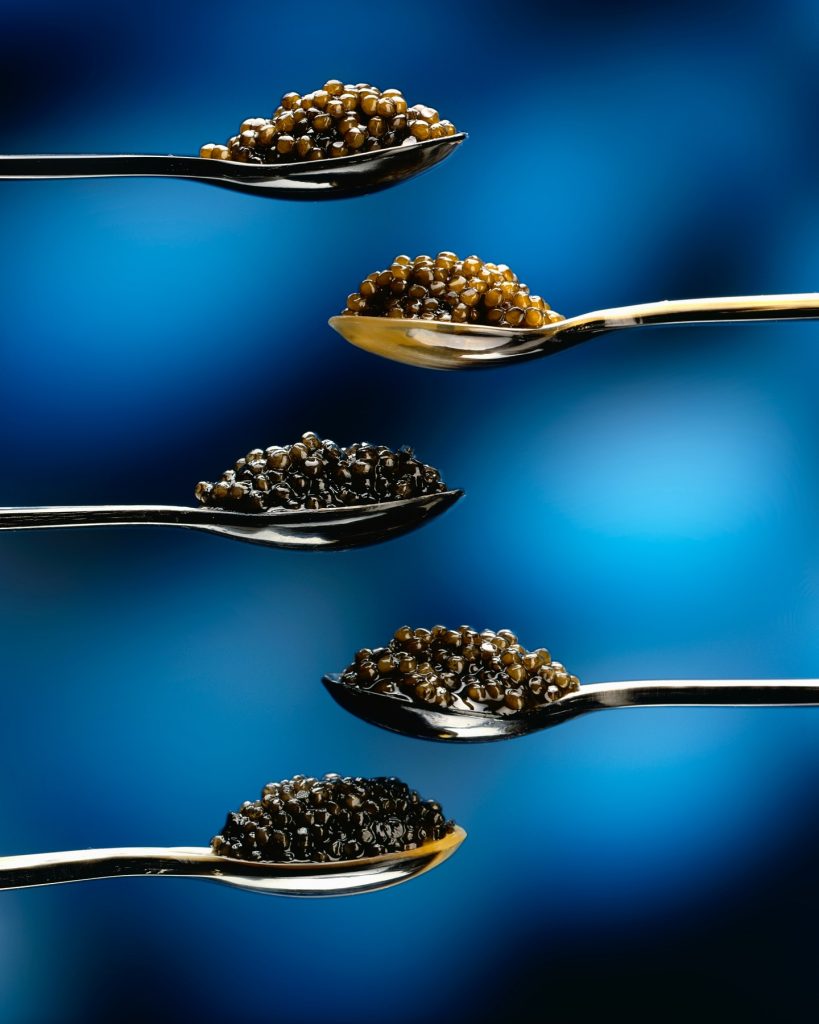 Caviar | Exploring the World of Caviar | Food For Thought