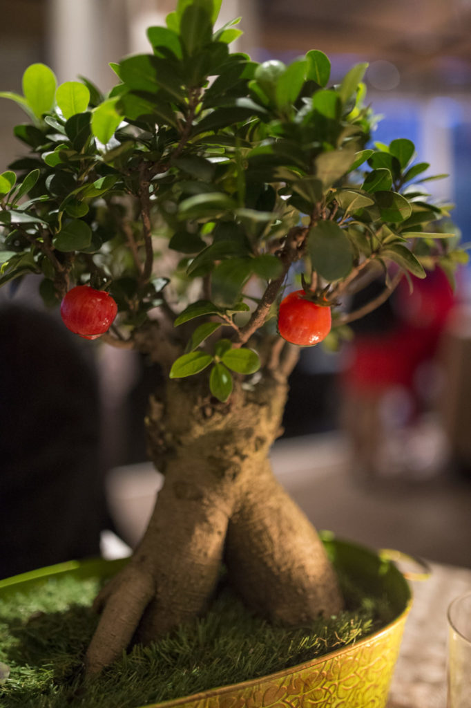 Food For Thought - Aziamendi88 - Bonsai Tree