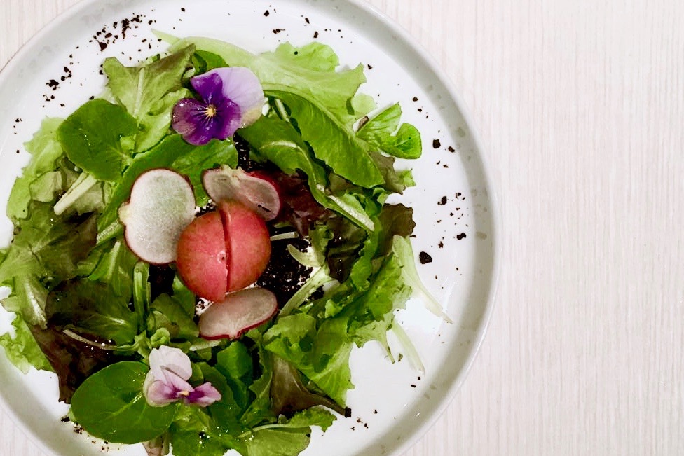 Garden Salad | Marco Creative Cuisine | Food For Thought
