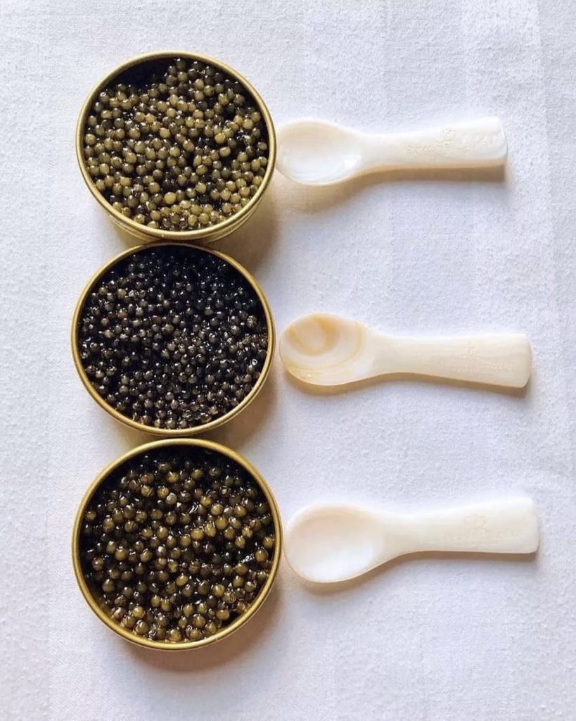 How to eat caviar | Exploring the World of Caviar | Food For Thought