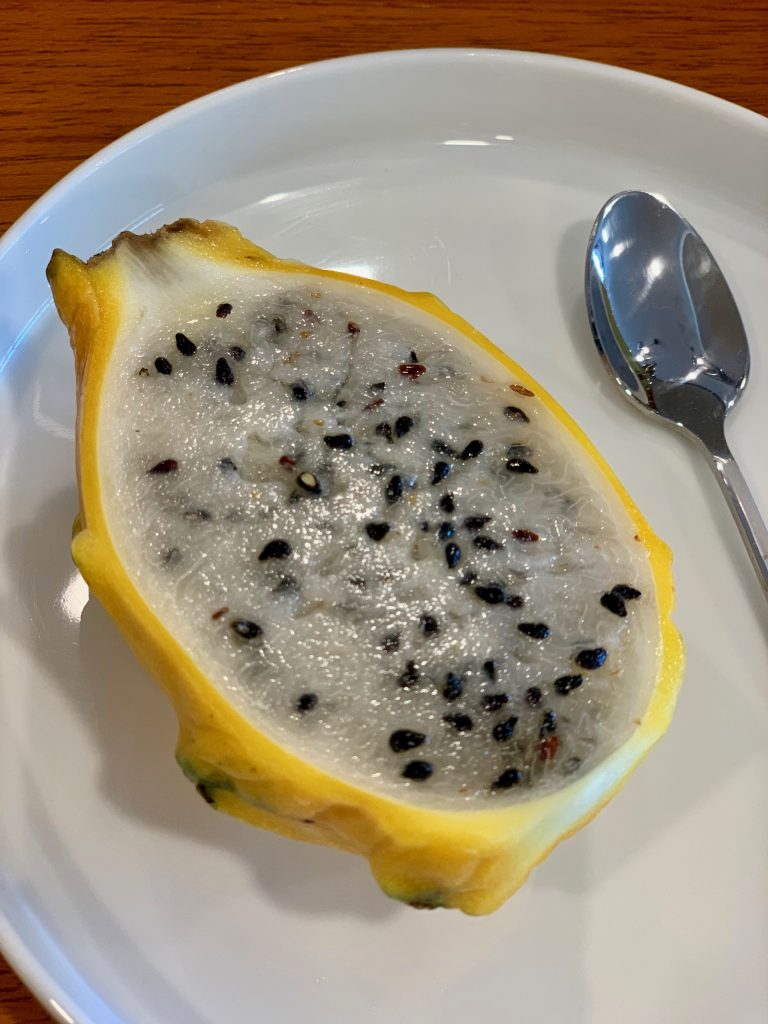 Dragon Fruit | A Casual Lunch with Darren Chin | Food For Thought