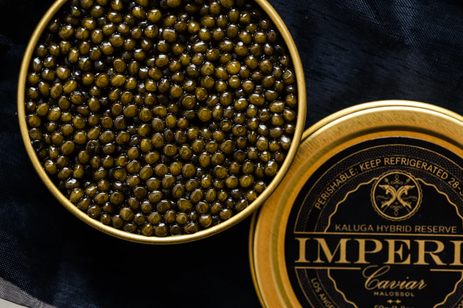 Kaluga Caviar | Exploring the World of Caviar | Food For Thought