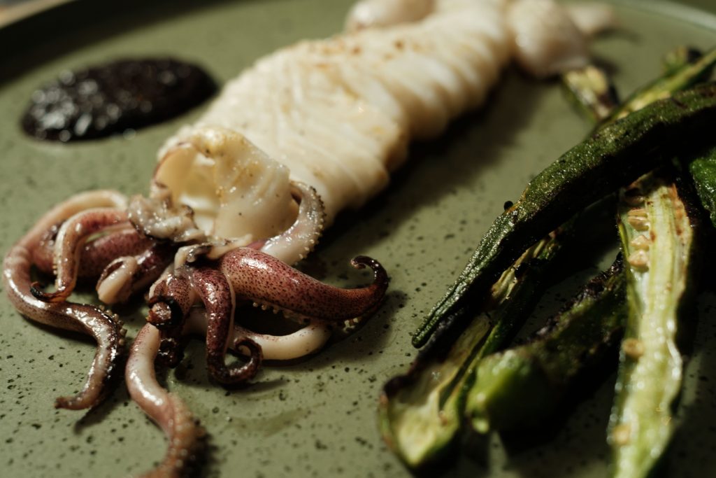 Squid | Yellow Fin Horse | Food For Thought