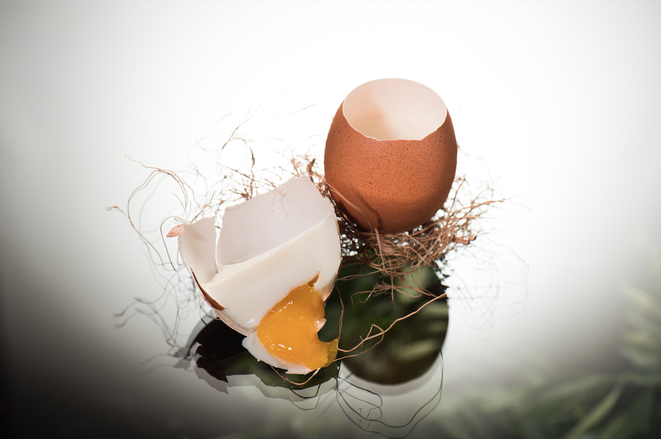 The Egg | Enfin by James Won | Food For Thought