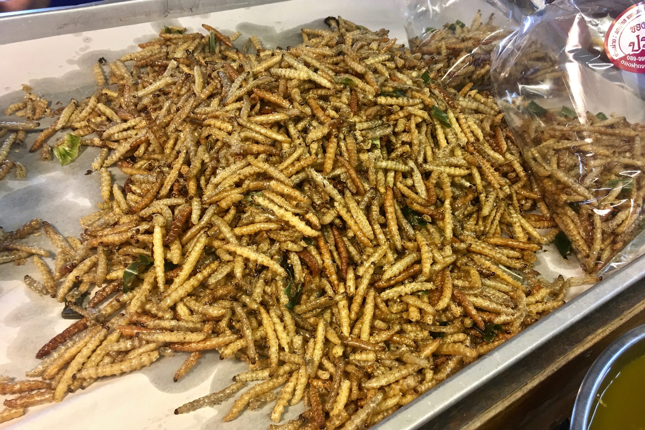 Tua Mai Tod | Fried Silkworms | Chiang Mai Street Food | Food For Thought