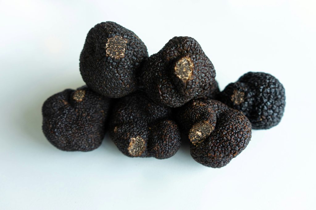 Winter Truffles | The World of Truffles | Food For Thought