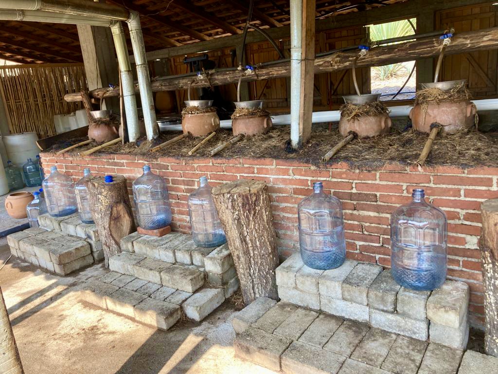 clay pot distillation | Los Siete Misterios | Food For Thought